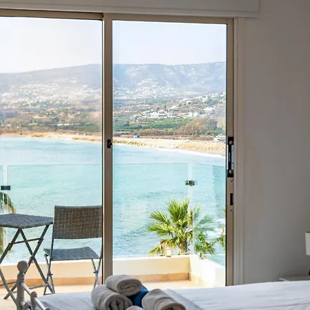 فيلة Front Blu By Ezoria